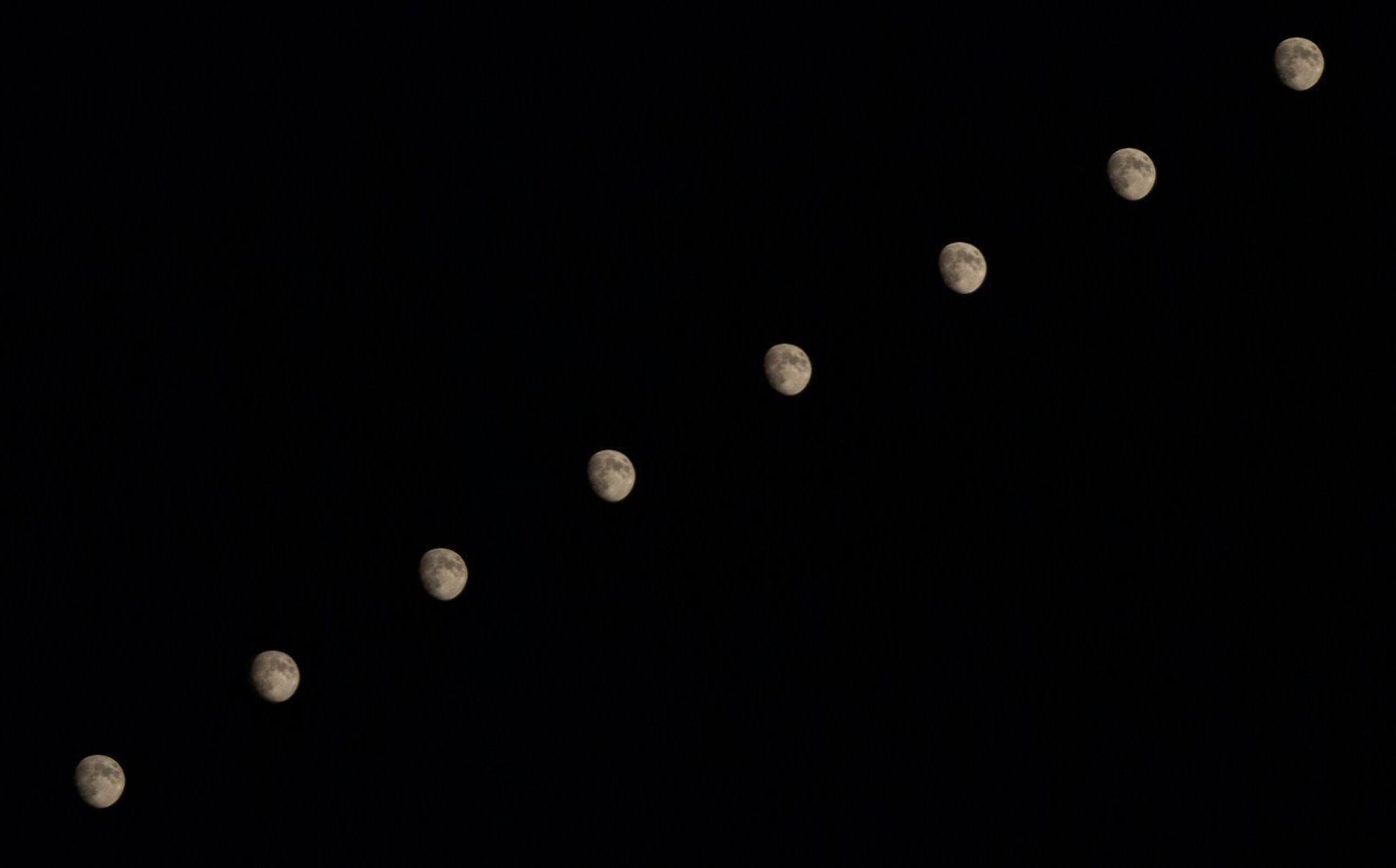 white and black round lights